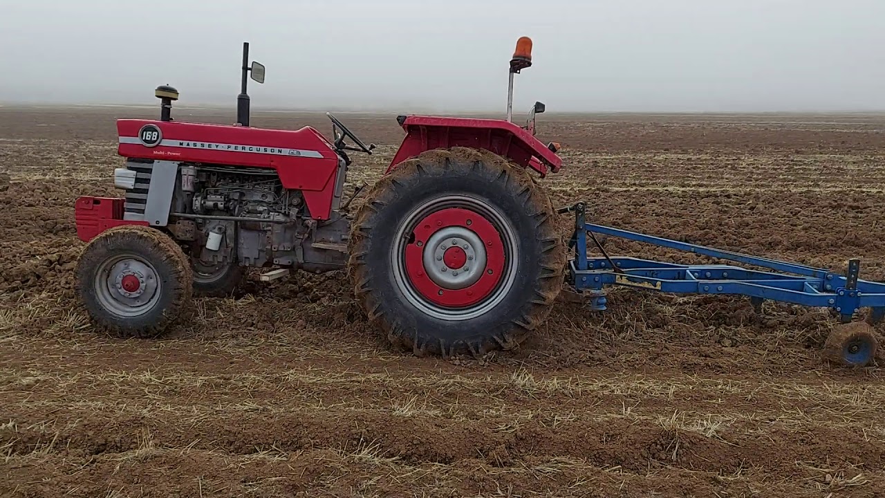 Kuraklık habercisi, kışın ortasında toprak kuru, MF 168 4x12 pulluk.