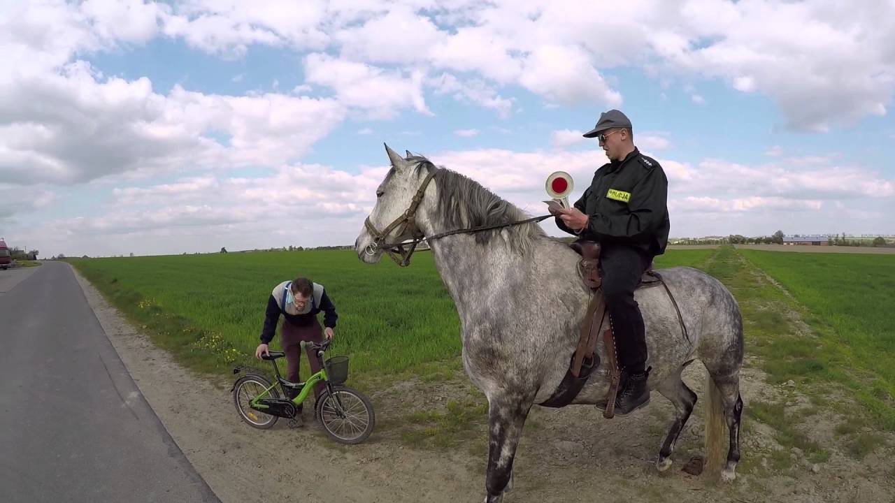 Koński zwis VS Policja |Kabaret Malina