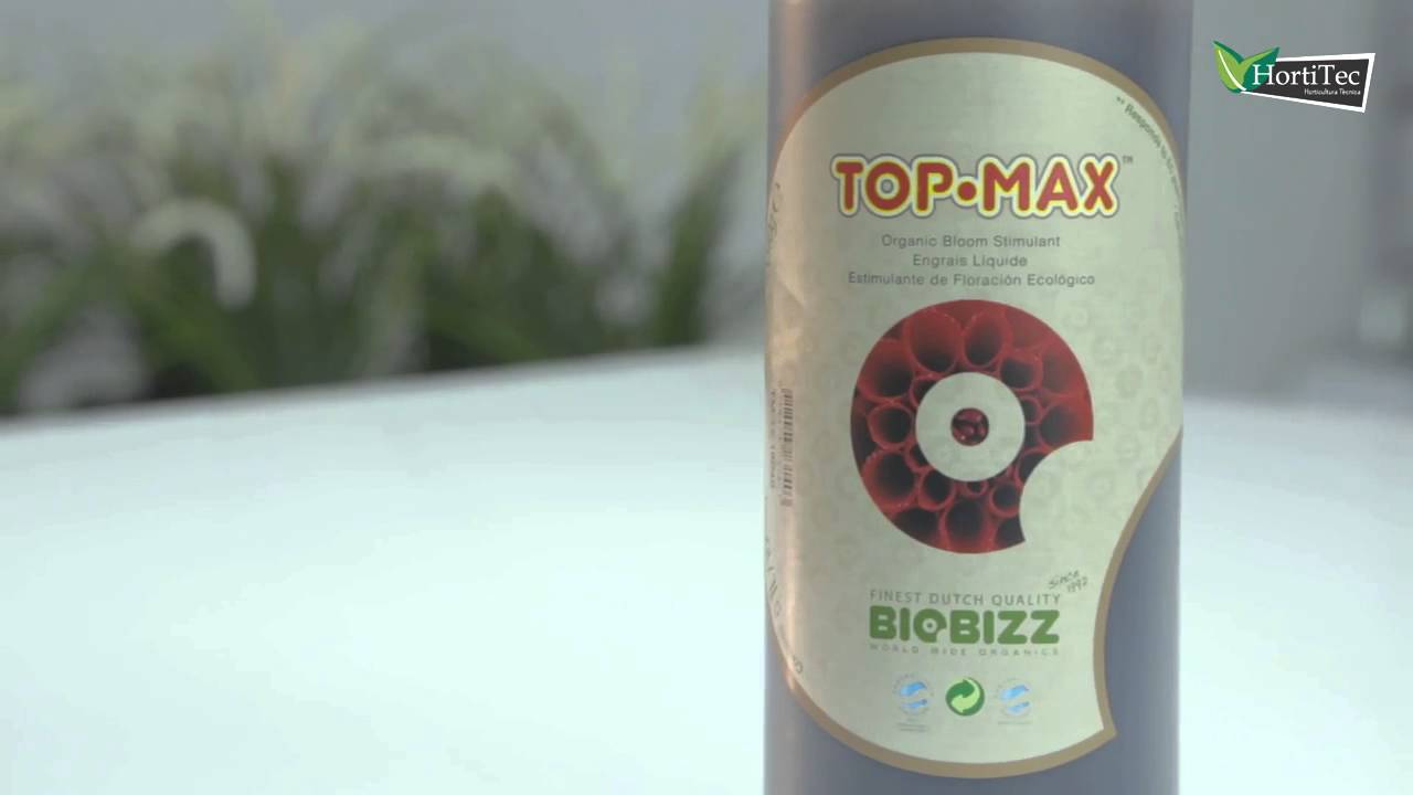 TOP MAX 1