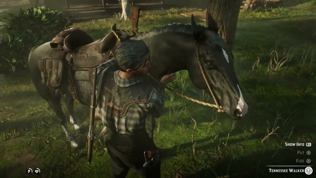 Searching Saddlebags in St Denis: 1 out of 5 ain't bad!
