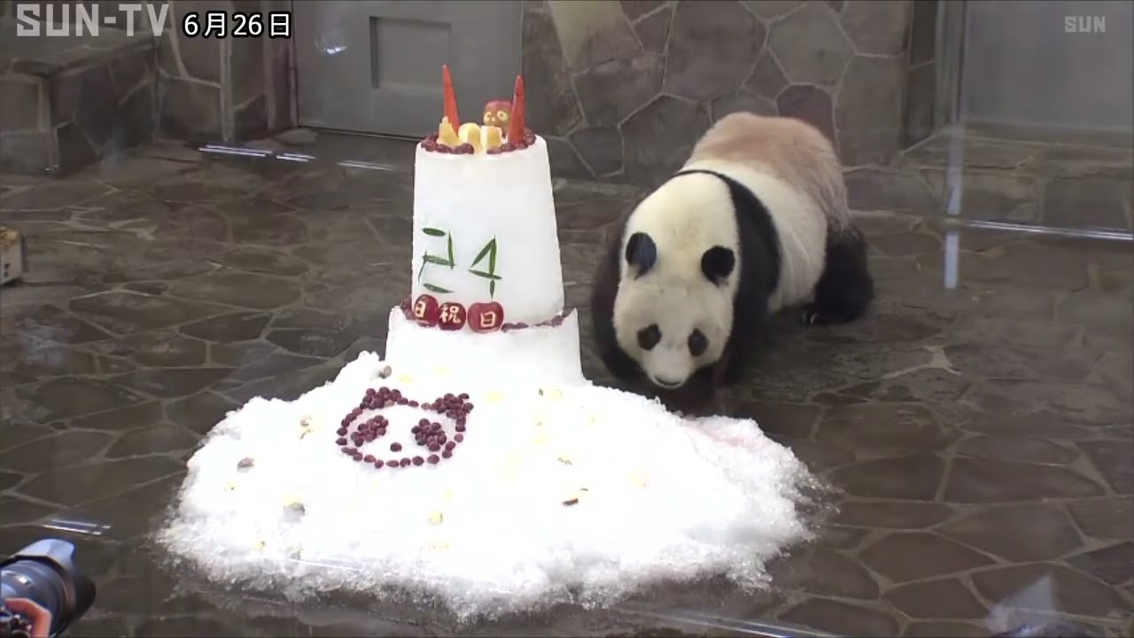 タンタンのはく製　中国に返還　パンダ保全の調査研究などに活用