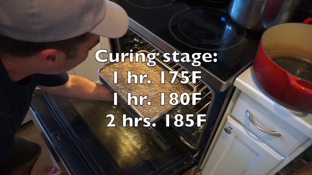 Malting and brewing with Rye