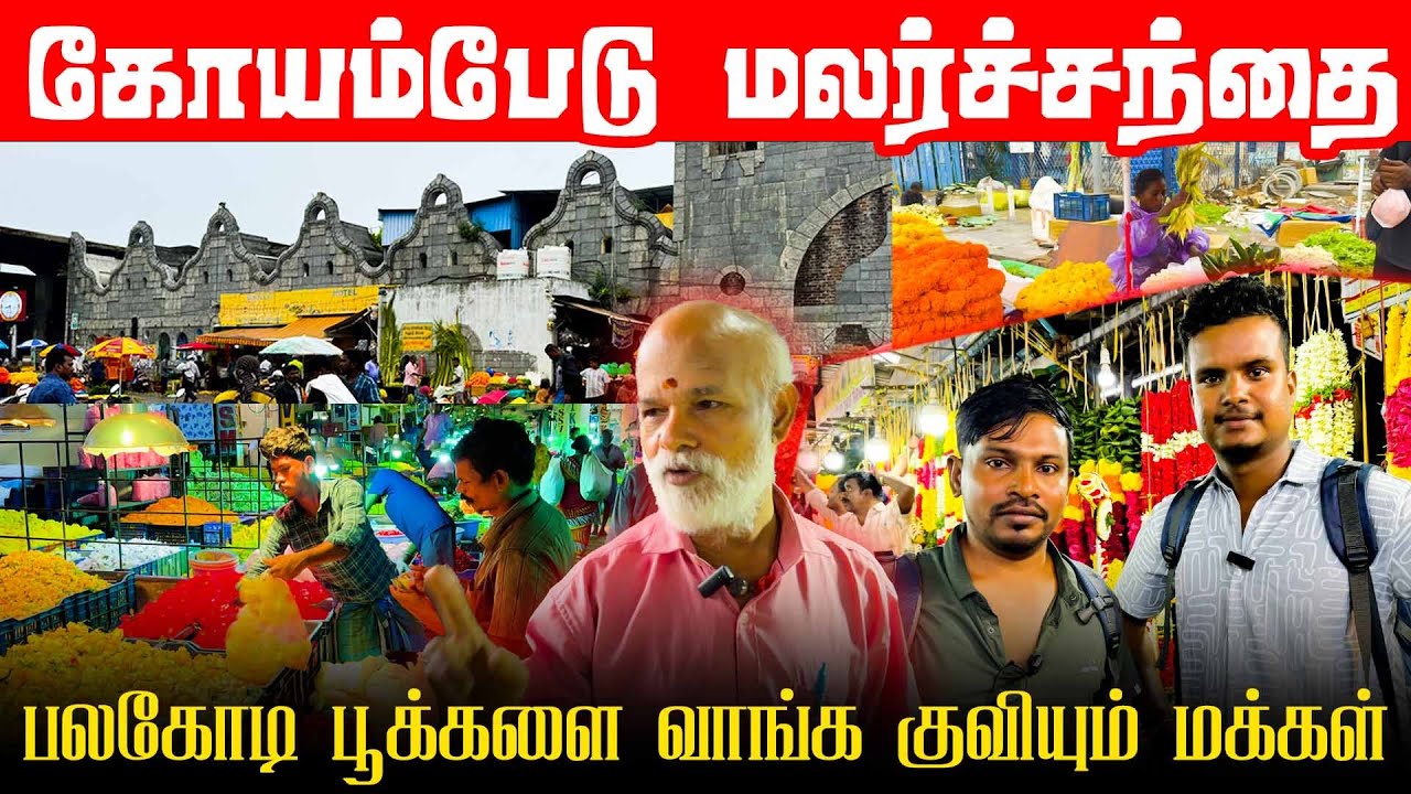 பலகோடிப் பூக்களைப் பார்த்து மயங்கிய அக்குட்டி பிச்சுமணி | கோயம்பேடு சந்தை | VALVAI SULAX #akkuddi