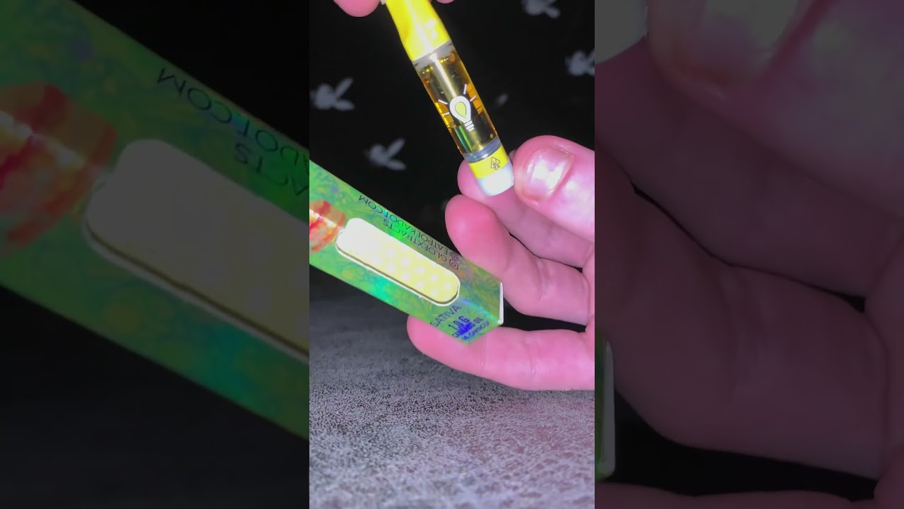 GLO x PolkaDot Cartridge - Apple Pie 🥧