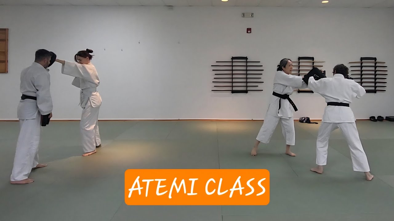 Atemi class 