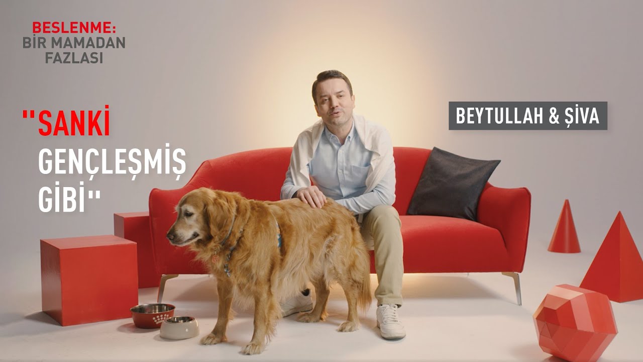Köpeğimin Kemik-Eklem Rahatsızlığını Nasıl Yendik?/ Royal Canin Veteriner Seri Ürünlerinden Mobility