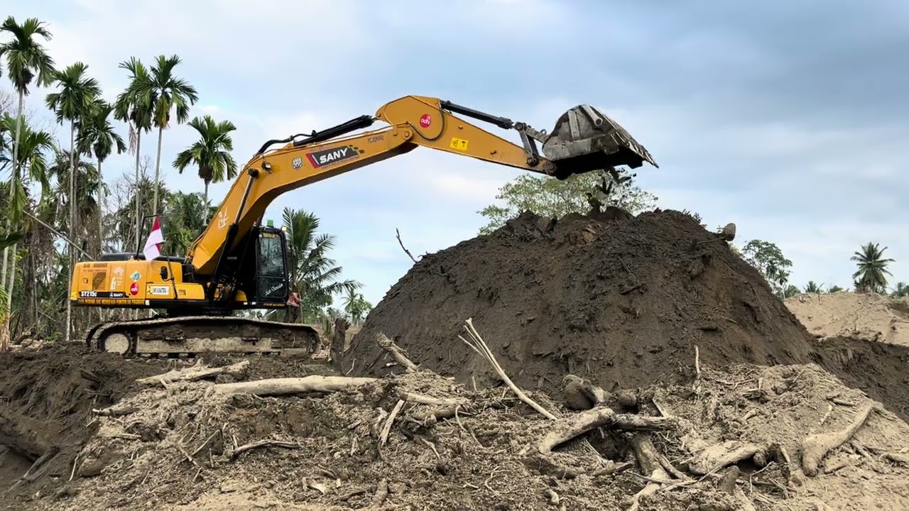 Excavator Power Clearing a Steep Forest Hillside