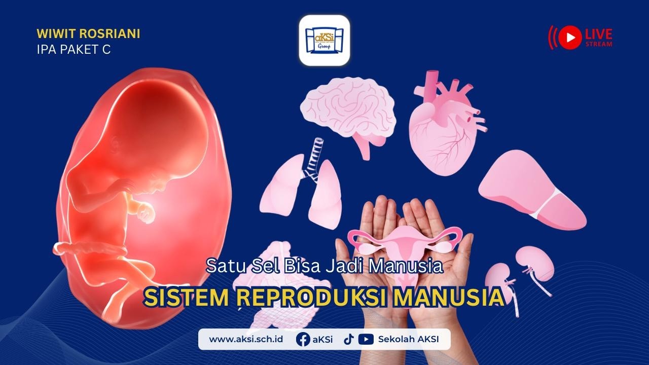 🔴PAKET C (01/02) IPA SISTEM REPRODUKSI MANUSIA