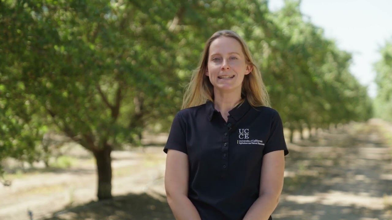 Almond Variety Trial Field Notes