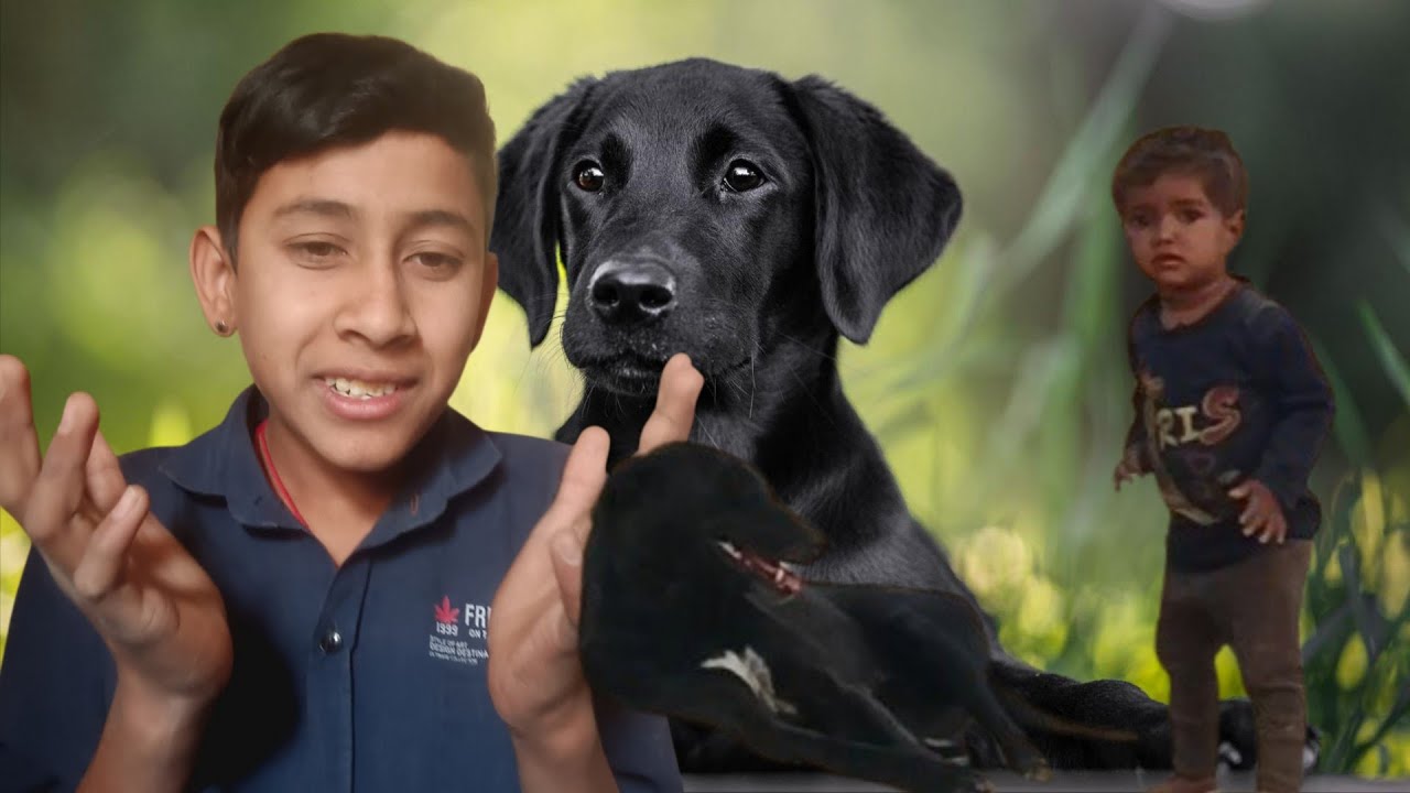 Finlly Koyal dog ke pass gyi 😔🤫🫣🫣      #santsa vlogs