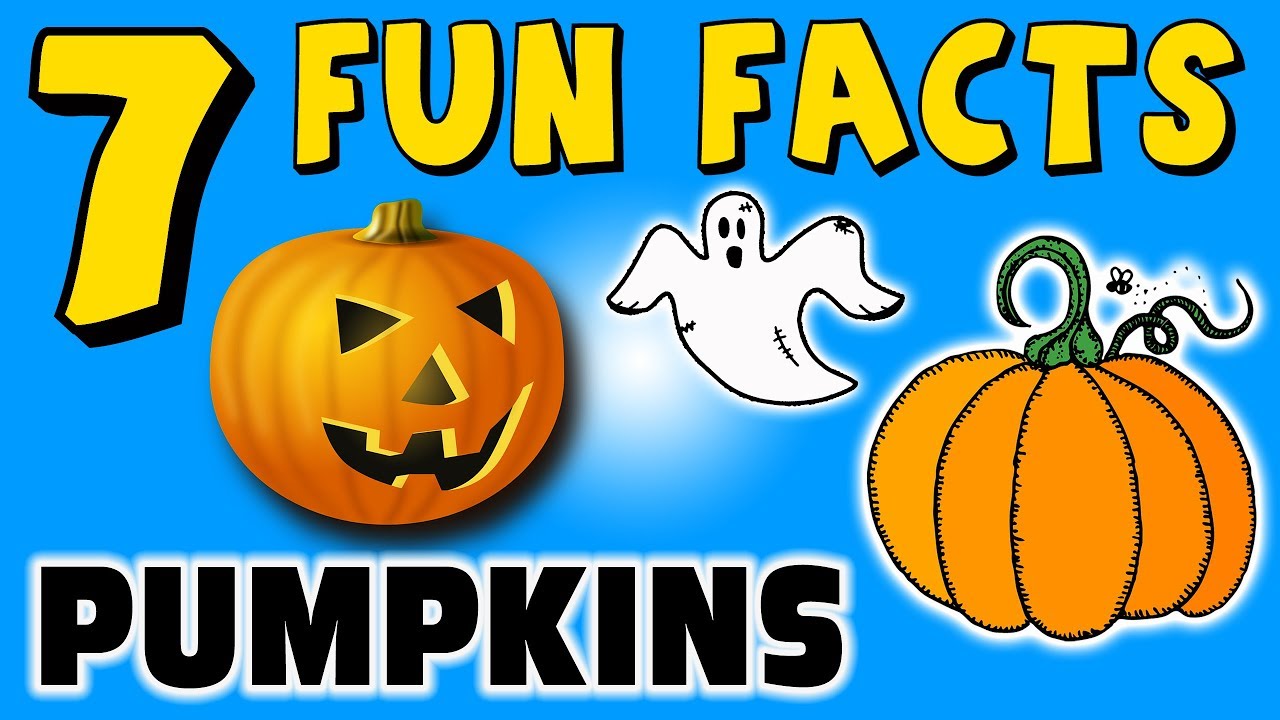 7 FUN FACTS ABOUT PUMPKINS! FACTS FOR KIDS! HALLOWEEN! CANDY! Learning Colors PUMKINS Pie Chocolate!