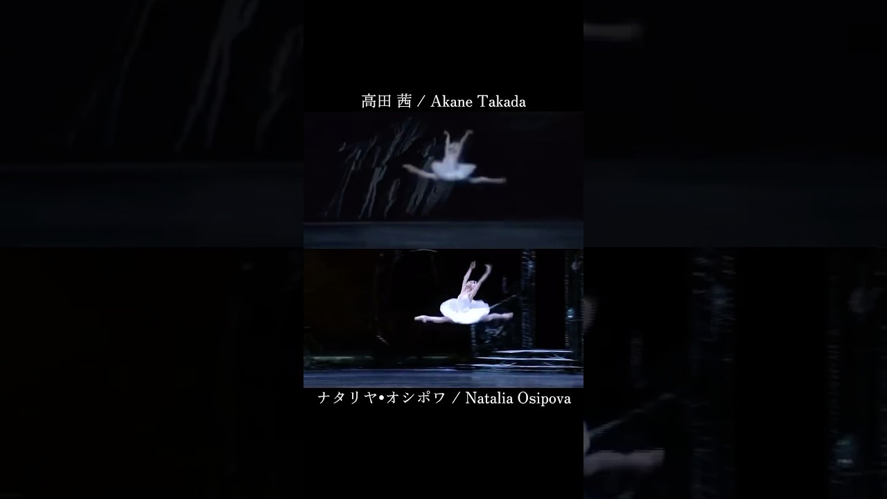 オシポワと高田茜さんのオデット(白鳥)🤍🦢