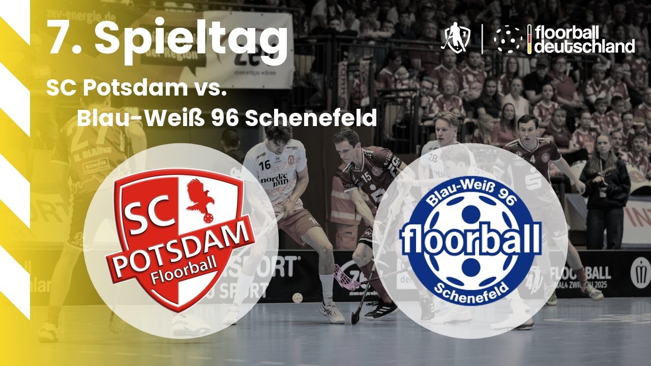 32 | SC Potsdam vs. Blau-Weiß 96 Schenefeld | 7. Spieltag - 12.10.2025