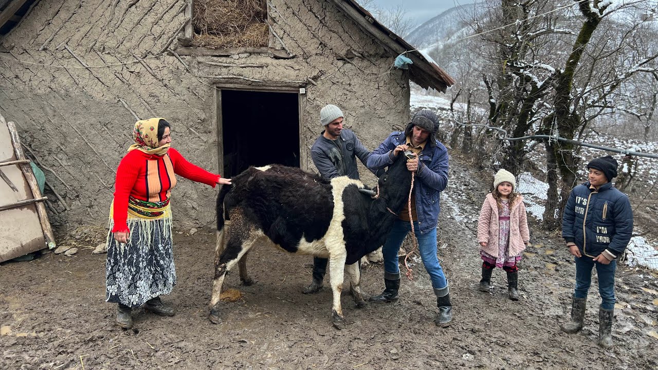 Winter Animal Care and Campfire Omelette Cooking - IRAN Nomadic Life