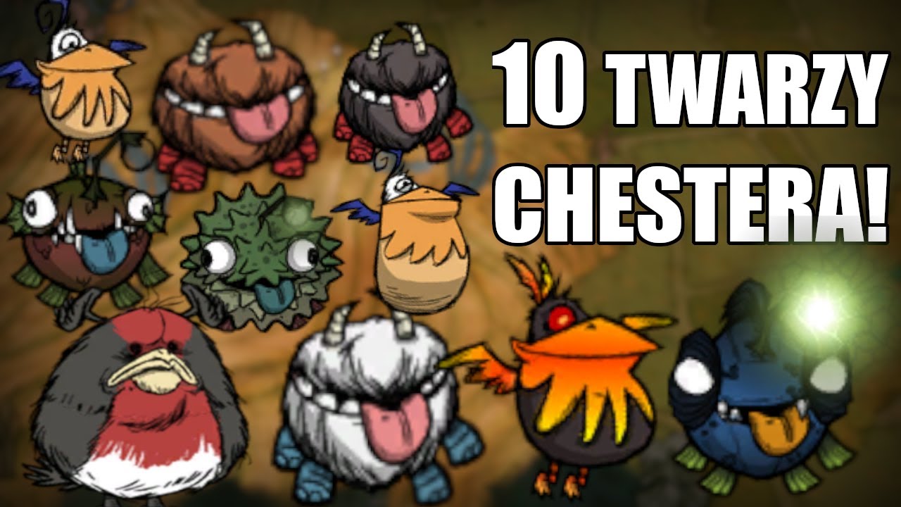 Aż 10 R&oacute;żnych Chester&oacute;w? Don't Starve Poradnik!