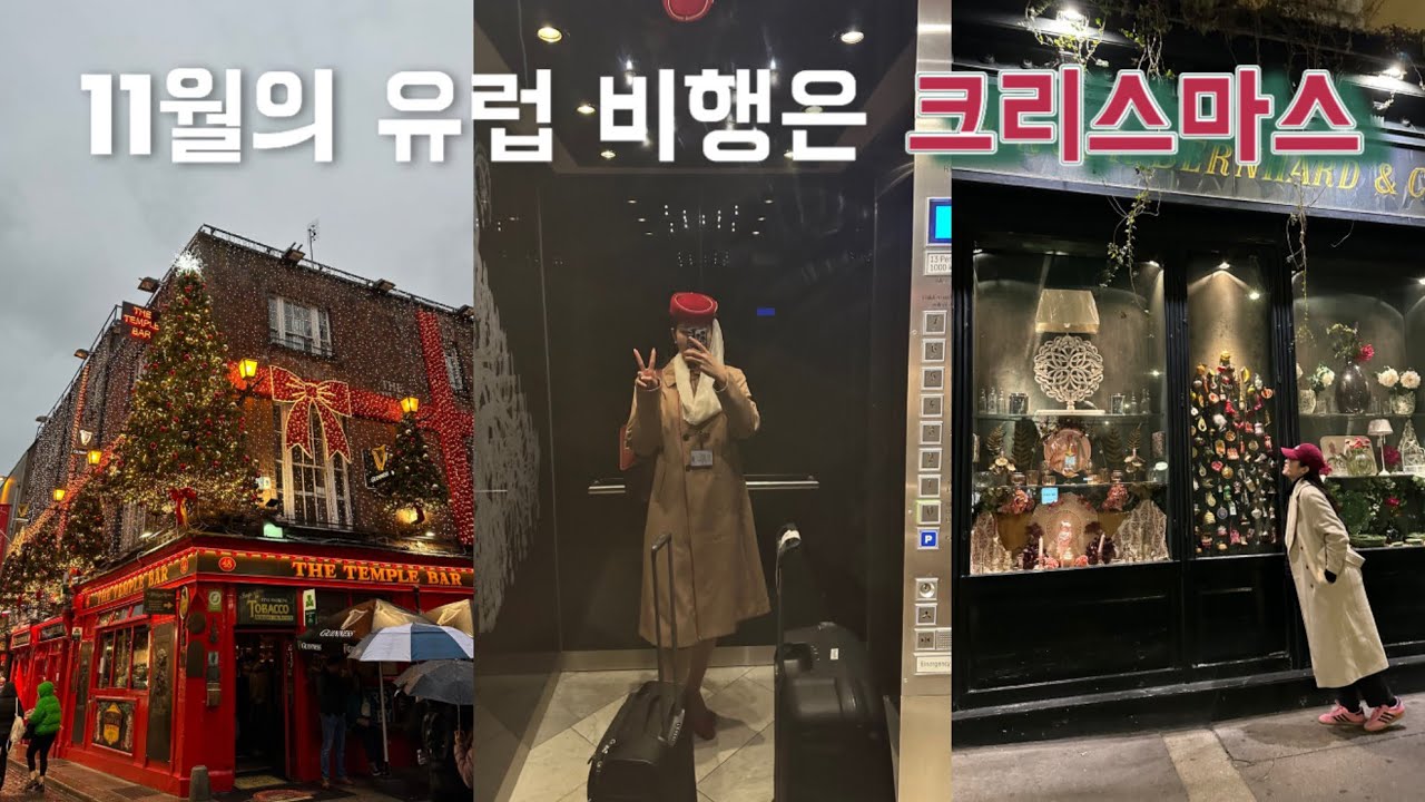 1년 정기 시험, 두바이 딤섬 맛집🥟, 걸프 전직 크루와 함께 한 비엔나 비행🎄