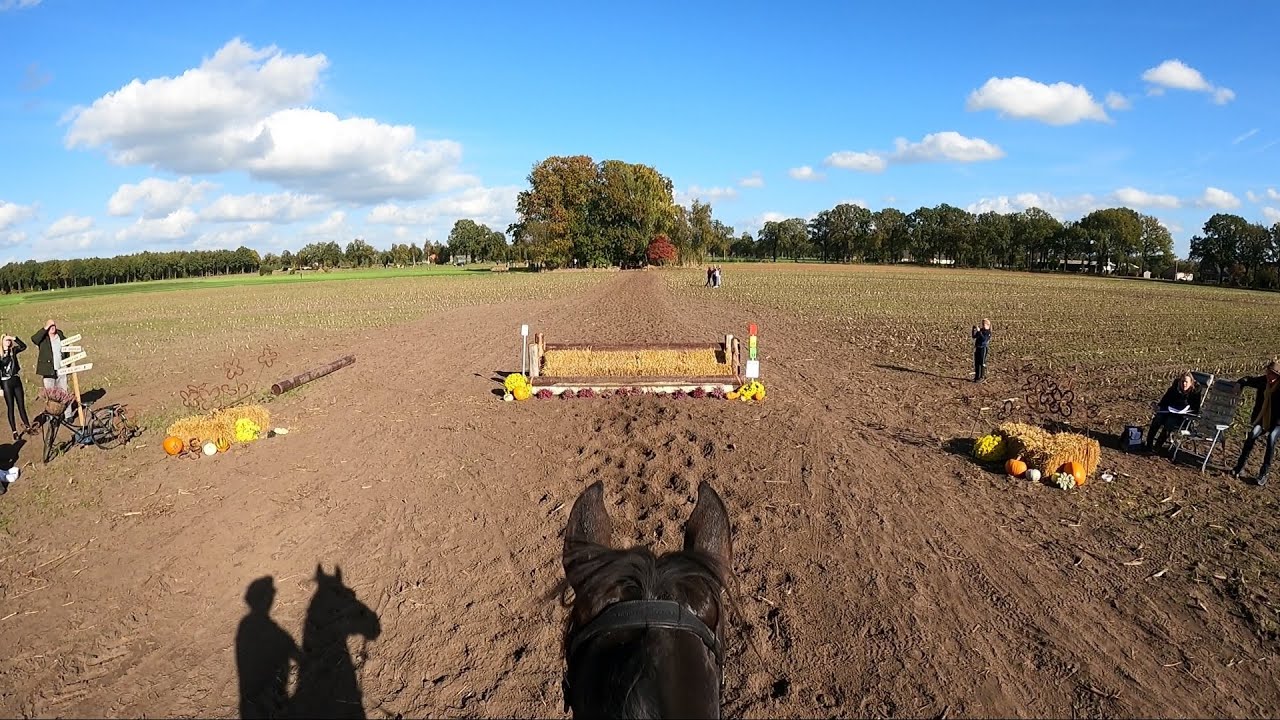SGW Diepenheim 2022 klasse B paarden