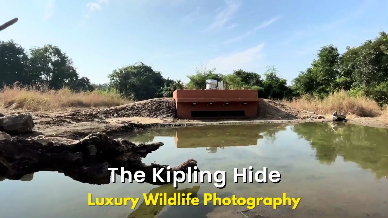The Kipling Hide - Luxury Wildlife Photography Hide