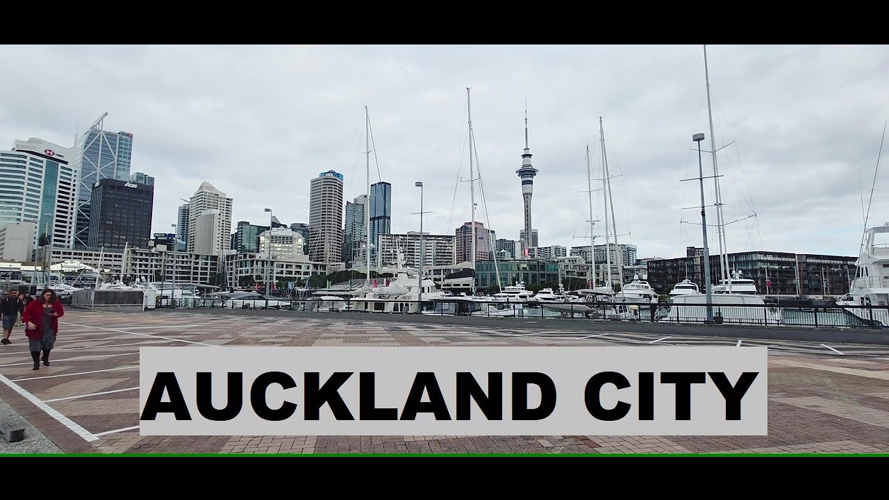 Walking from Kohimarama to Auckland City. Made with Clipchamp