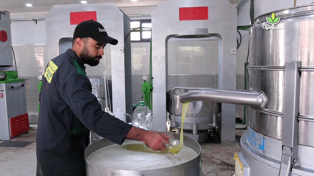 بهذه المواصفات إستطاعت معصرة الزيتون طوب أوليف السراغنة الحصول على أجود أنواع زيت الزيتون البكر