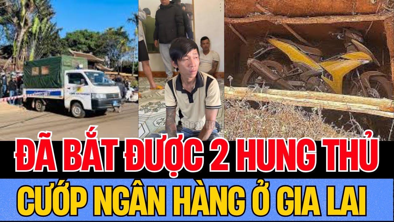 Vụ Cướp Ngân Hàng Gia Lai: Phát Hiện Xe Máy Chôn Dưới Đất Sau 7 Ngày - Tin Mới Nhất Từ Công An
