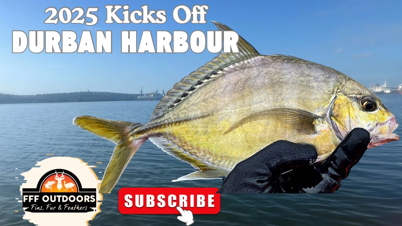 Durban Harbor, 2025 Starts!