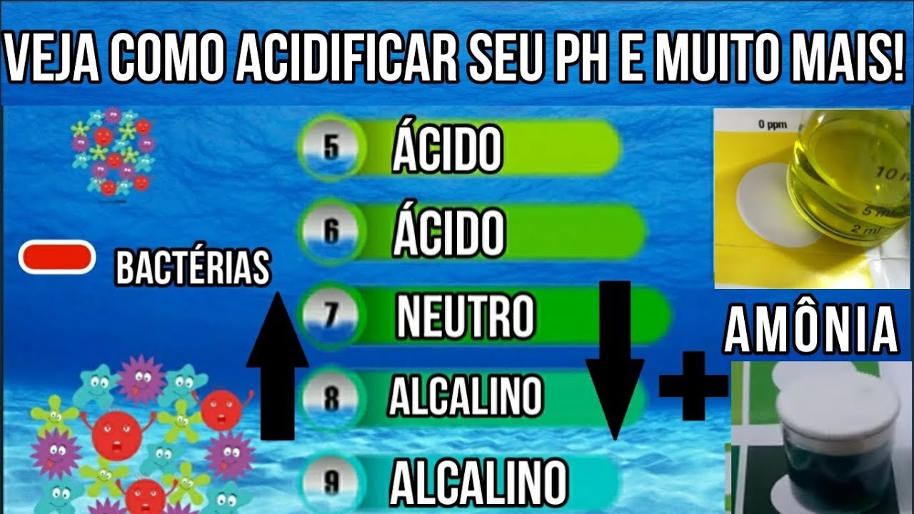 3 Curiosidades sobre PH Que muita gente não sabe! Incluindo como acidificar a água.