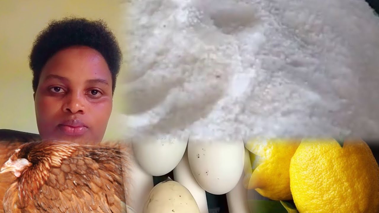 Waruziko Umunyu warinda inkoko zawe kurwaragurika uburwayi?#disinfectant wongera umusaruro#improve#