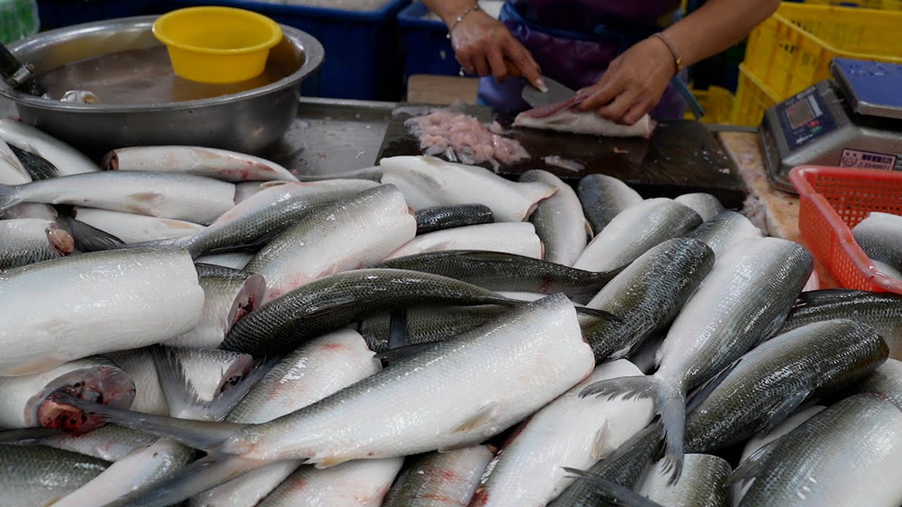 直擊虱目魚工廠!!驚人的虱目魚切割技能,虱目魚大量補撈/Amazing Milkfish Fishing Cut Taiwan Milkfish Factory