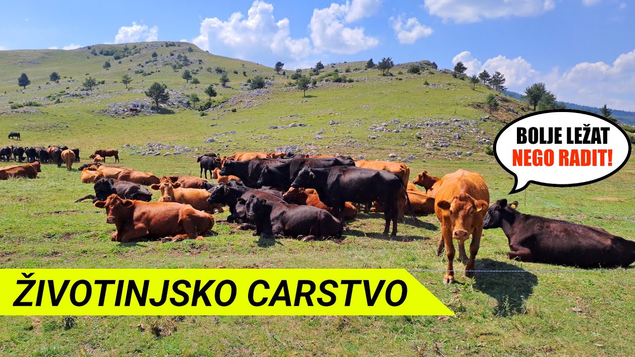 Od ZVIRNJAČA do KUPRES ( selo Ravno - Ravanjska vrata - jezero Turjača - Tunel Kupreška Vrata)