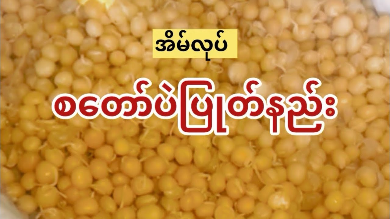 *342*How to make Boiling Yellow Peas, so good စတော်ပဲပြုတ်နည်း အဆင့်ဆင့် #yellowpeas #homemade