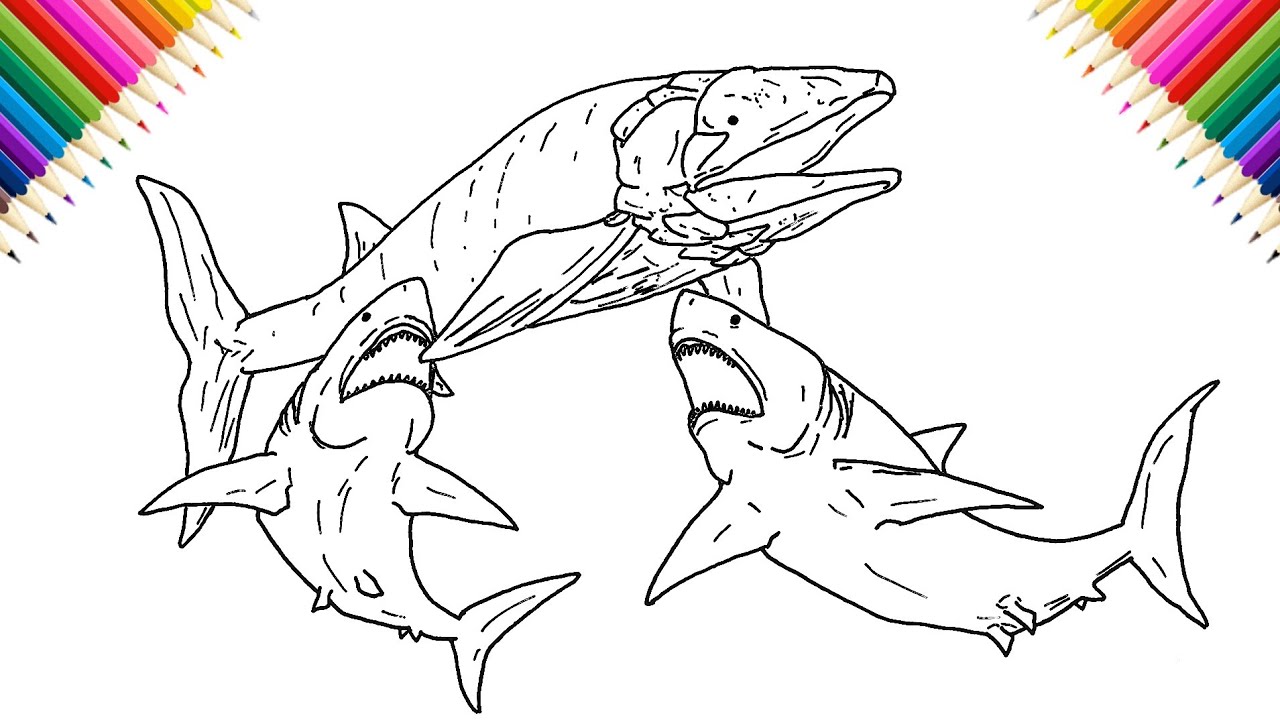How to Draw Leedsichthys vs Megalodons Easy
