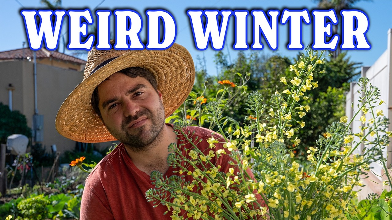 My Winter Garden Is Acting Up....