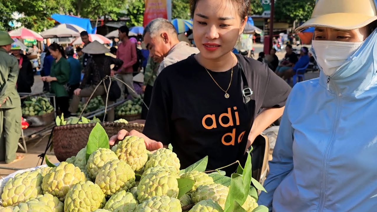 CẬP NHẬT GIÁ NA MỚI NHẤT TẠI PHIÊN CHỢ CHI LĂNG ĐỒNG BÀNH LẠNG SƠN 