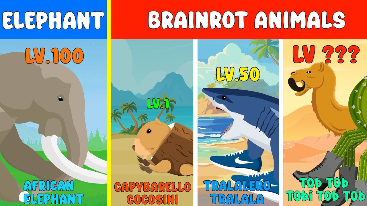 Elephant vs Brainrot Animals Level Challenge [S1] | Animal Animation