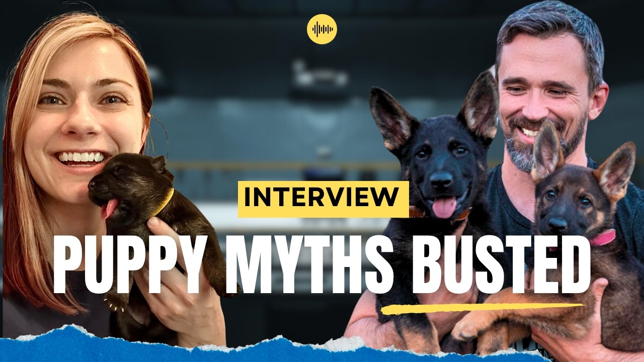 The Puppy Training Advice You&rsquo;ll Wish You Heard Sooner