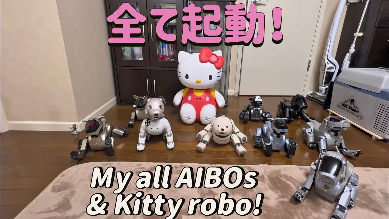 貴重！ 新旧９体のAIBOとキティロボが全起動！　All AIBOs & Kitty that have started up！#aiboyfriend 