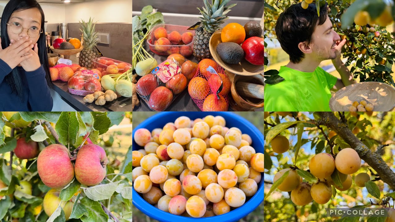 You Won’t Believe 🇩🇪 Fruit Prices! 🍇Husband Harvested 10 KG of Plums 🥳 | What We Eat in a Day 🍽”