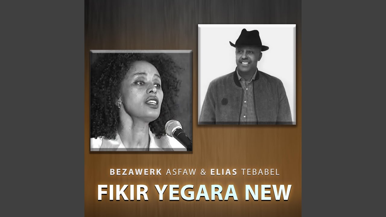Fikir Yegara Newfalc