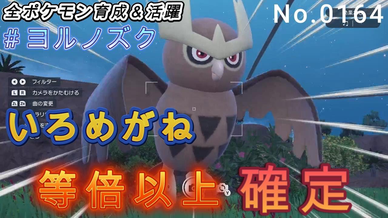 （全ポケ活躍、ヨルノズク育成論）特性いろめがねでどんな攻撃も等倍以上のダメージを与える！