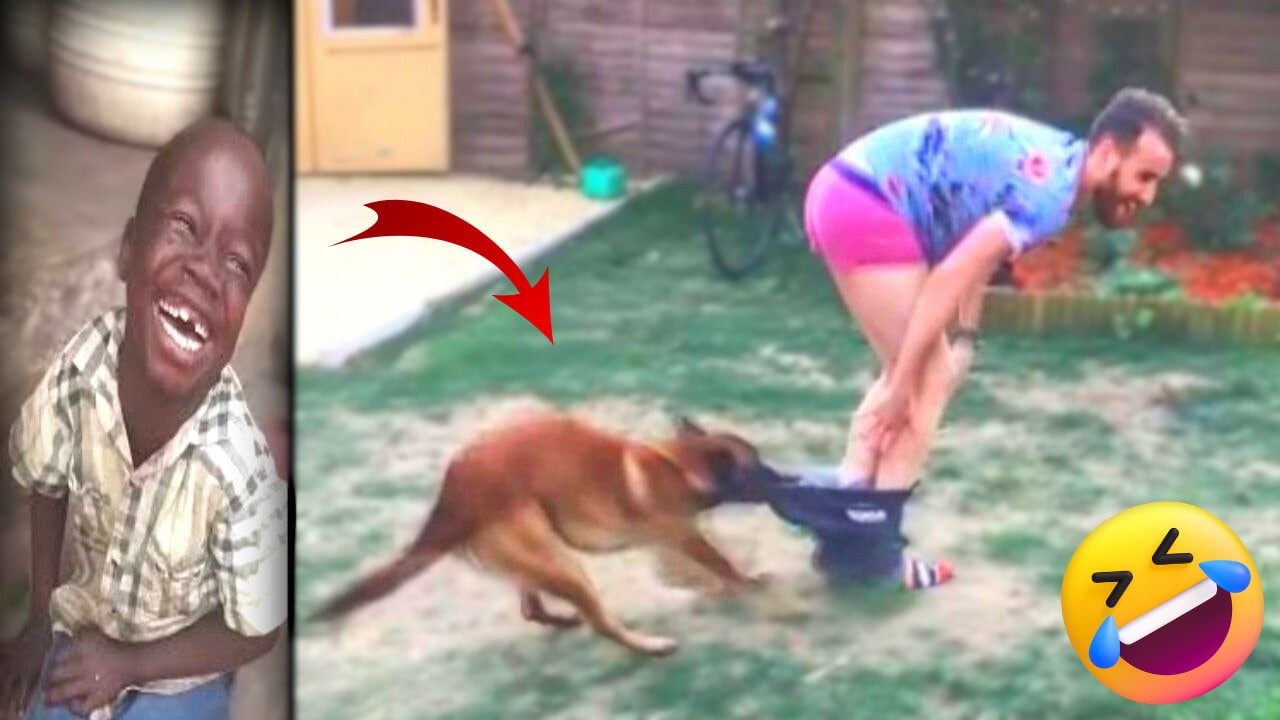 Crazy Funniest Videos Ever In The World!😆 (Try Not To Laugh Challenge) 2026