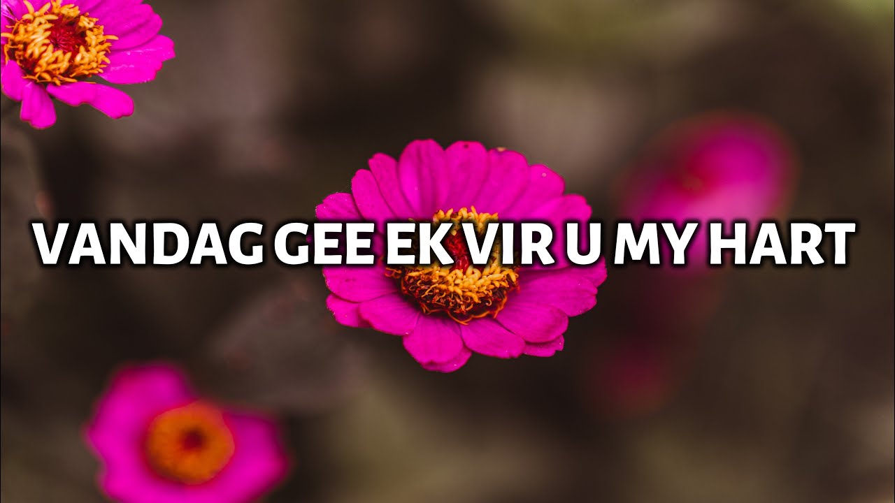 Vandag Gee Ek Vir U My Hart - Armin Kritzinger (Afrikaanse Christelike Musiek)