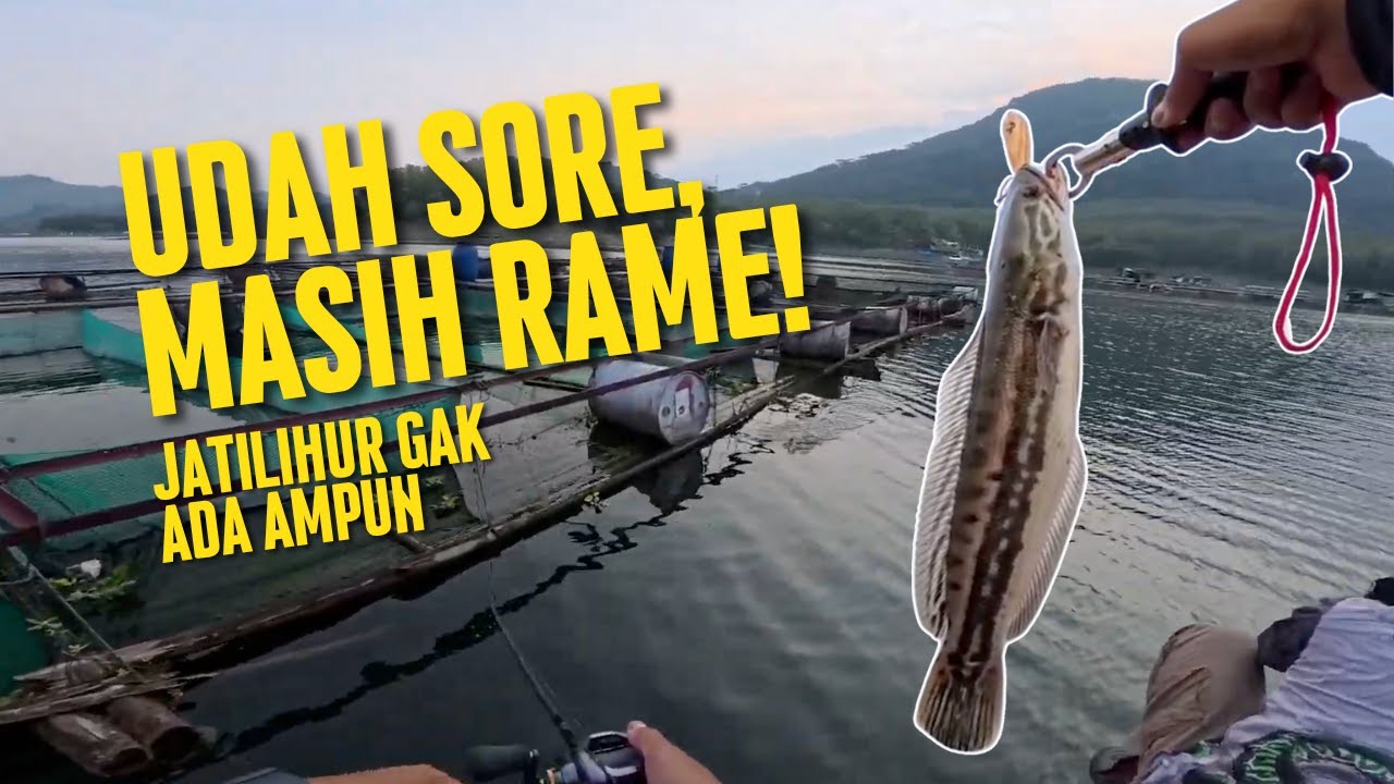 UDAH SORE MASIH RAME!! TOMAN DI JATILUHUR!!