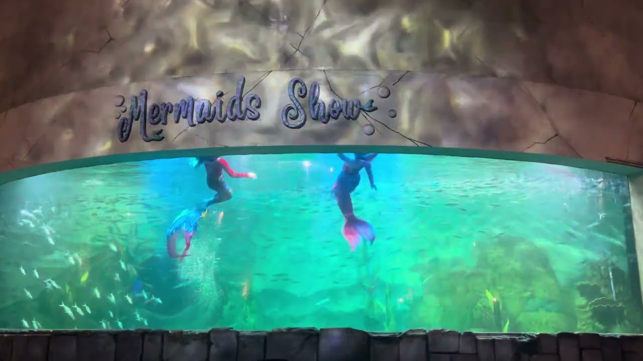 Mermaid Show Part 2 at Ocean Dream Samudra Ancol 