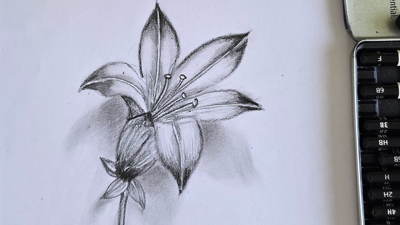 Flower drawing 