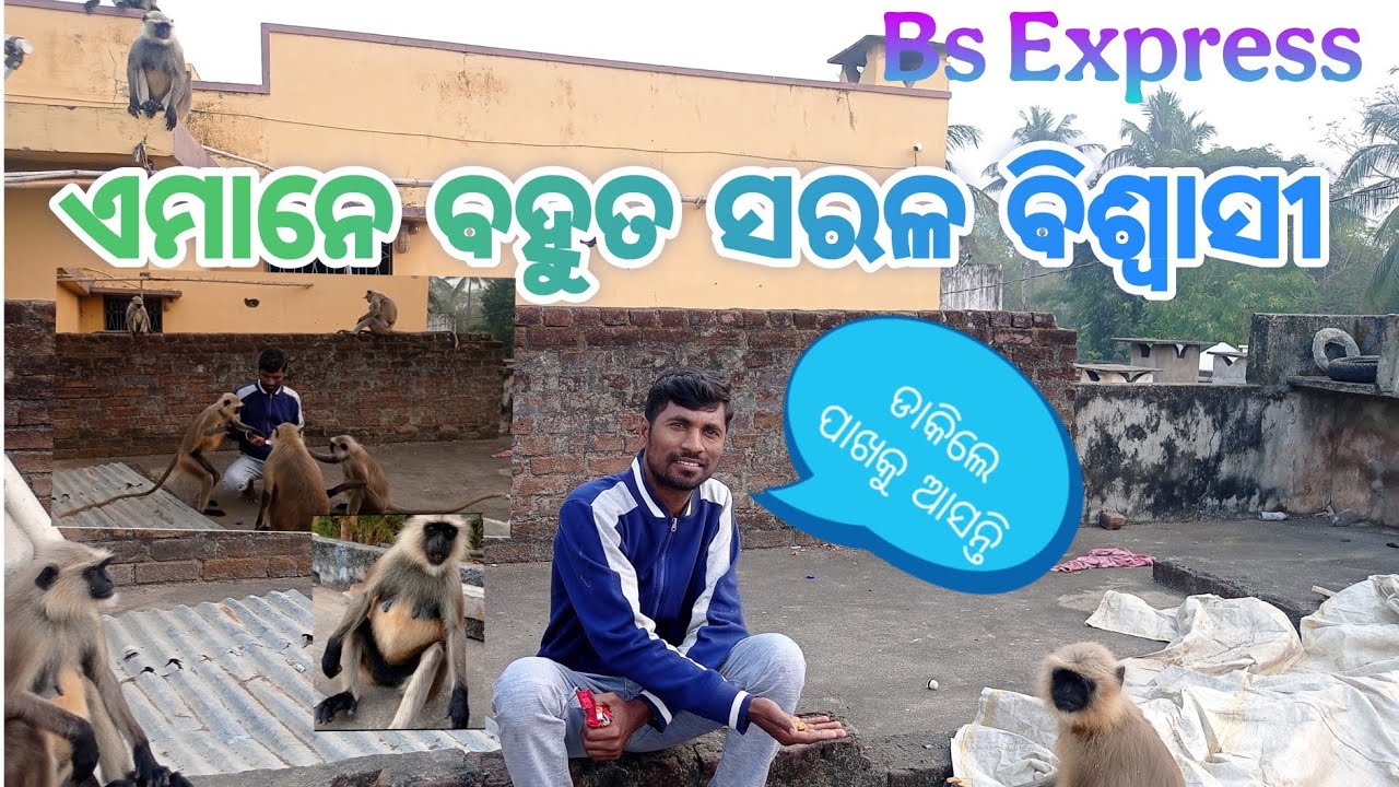 ଏମାନେ ବହୁତ ସରଳ ବିଶ୍ୱାସୀ //Bs Express 🇮🇳