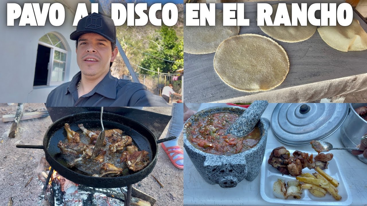 Pavo al disco en el RANCHO DEL PILOTO 