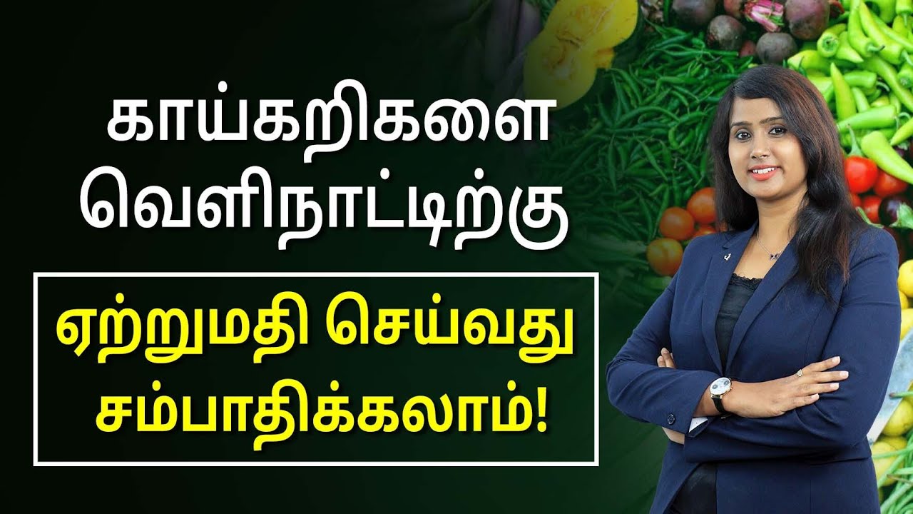 How to Start a Vegetable Export Business? | Export Business Details In Tamil | Bala Saraswathi