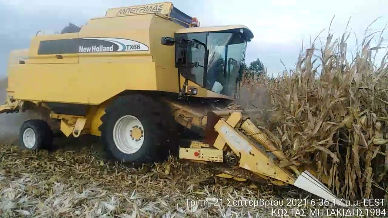 New Holland Tx 66 αλωνισμος Καλαμποκιού Καστανιές Έβρου