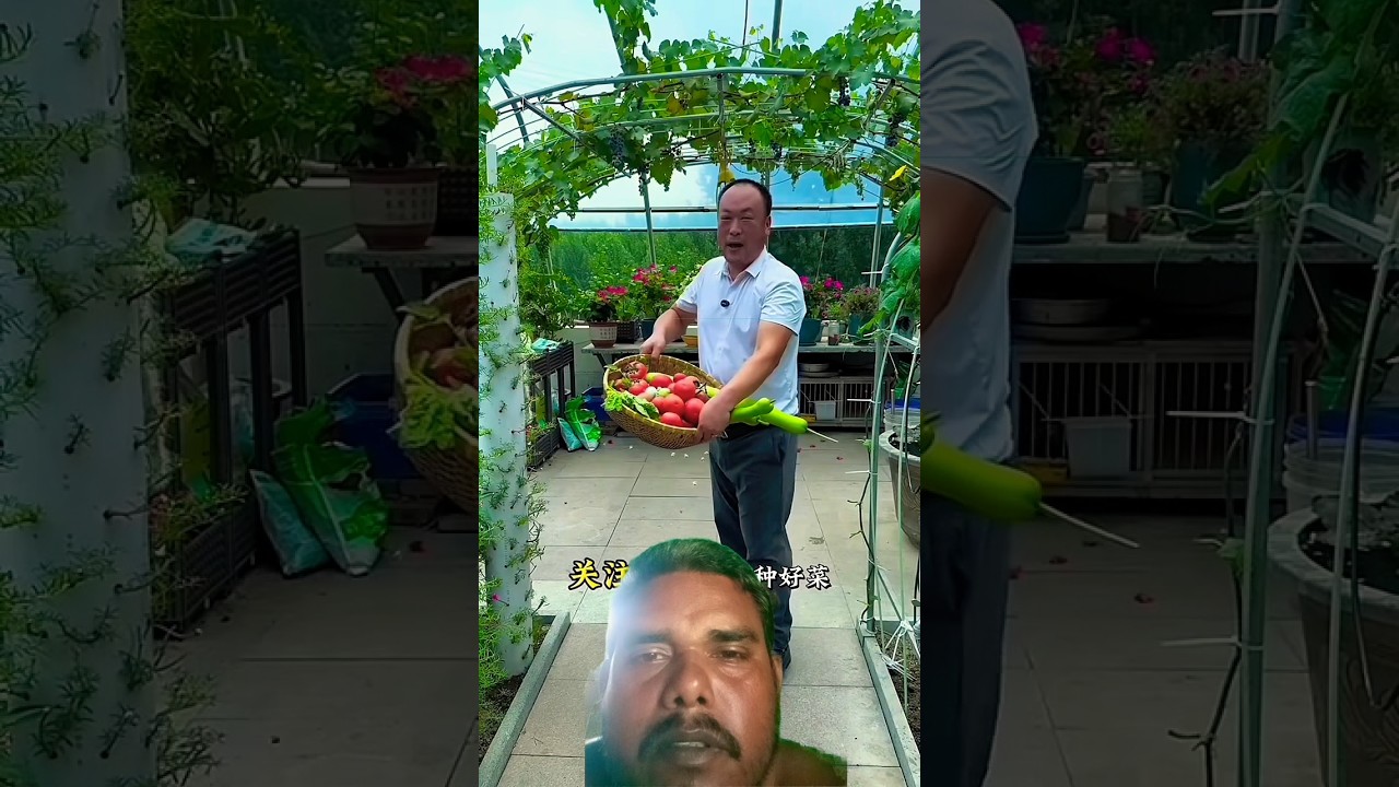 I saw vegetables being picked from the garden #shots #youtubeshorts
